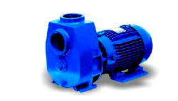 Electrobomba monoblock autocebante
